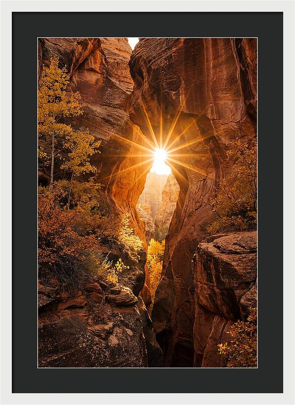 Sunlight Streaming Through Canyon