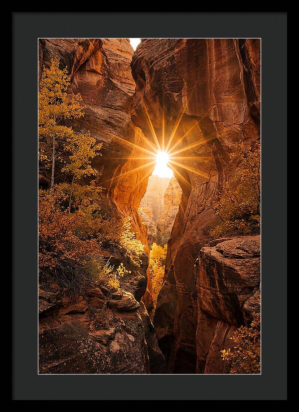 Sunlight Streaming Through Canyon