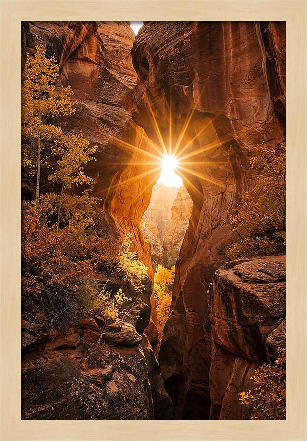Sunlight Streaming Through Canyon