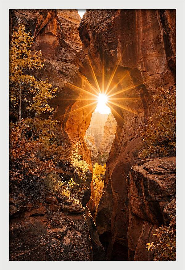 Sunlight Streaming Through Canyon