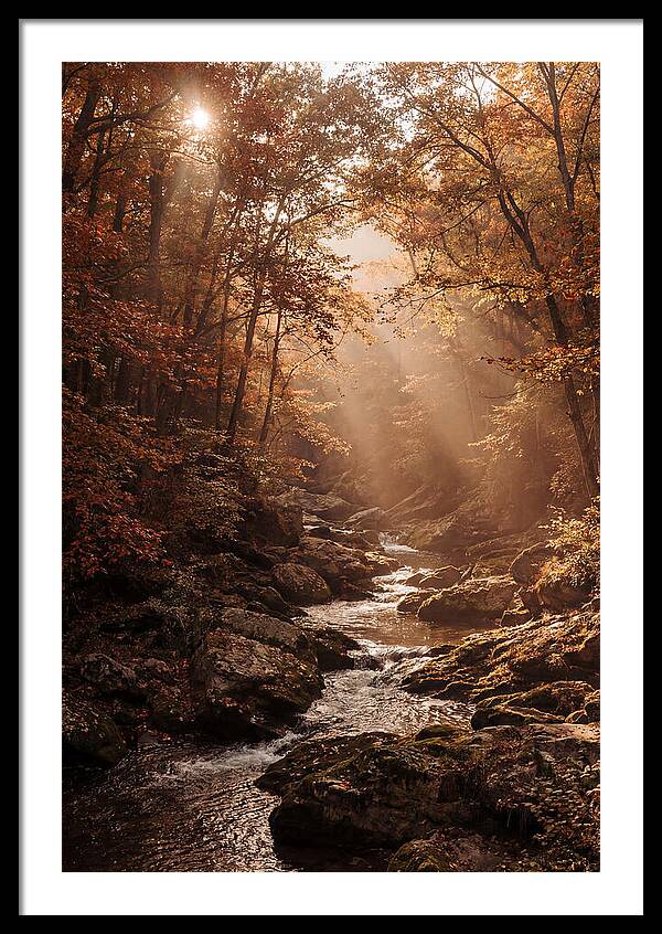 Creek Art