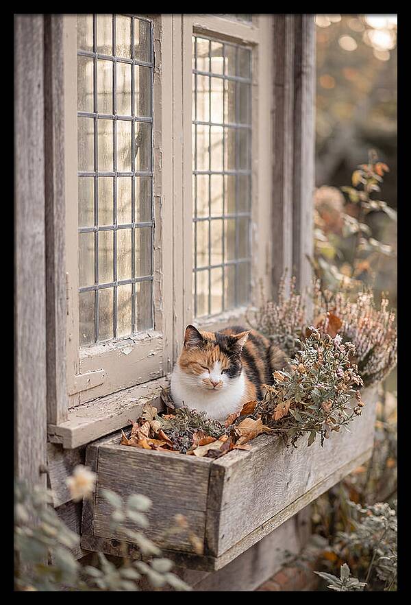 Sunny Cottage Serenity