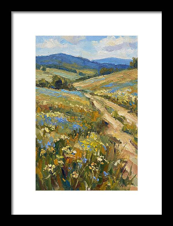 Sunny Meadow Pathway