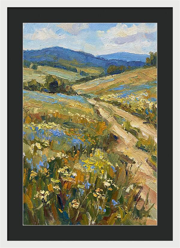 Sunny Meadow Pathway