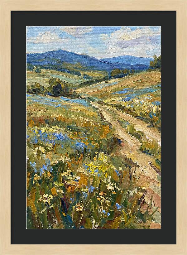 Sunny Meadow Pathway