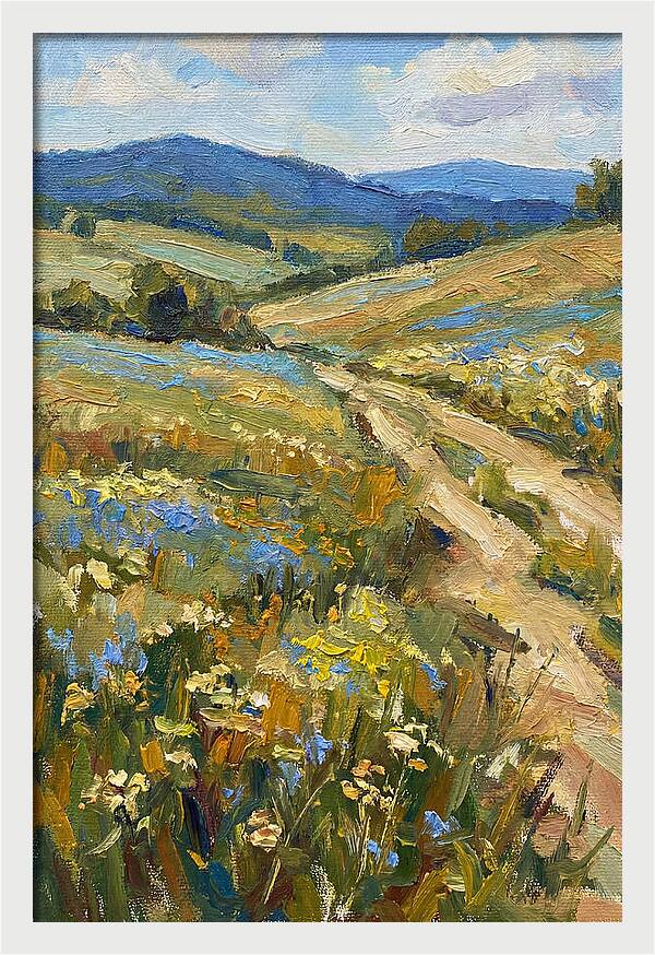 Sunny Meadow Pathway
