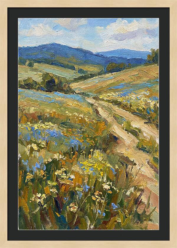 Sunny Meadow Pathway