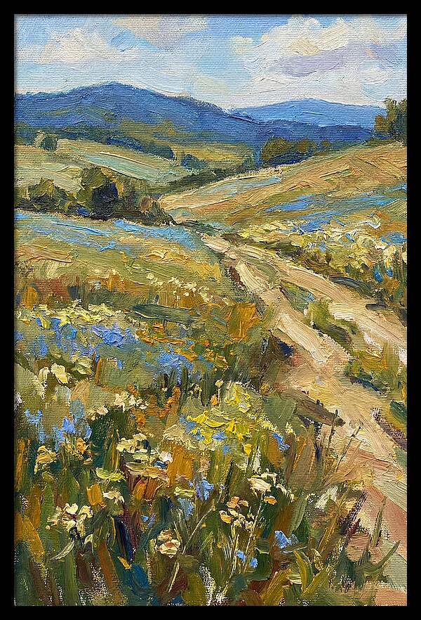 Sunny Meadow Pathway