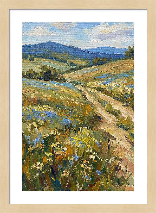 Sunny Meadow Pathway