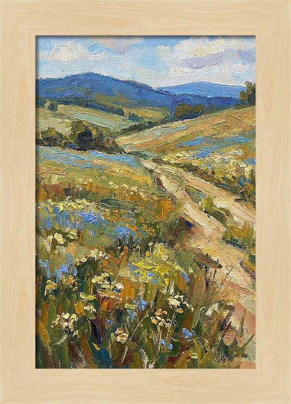 Sunny Meadow Pathway