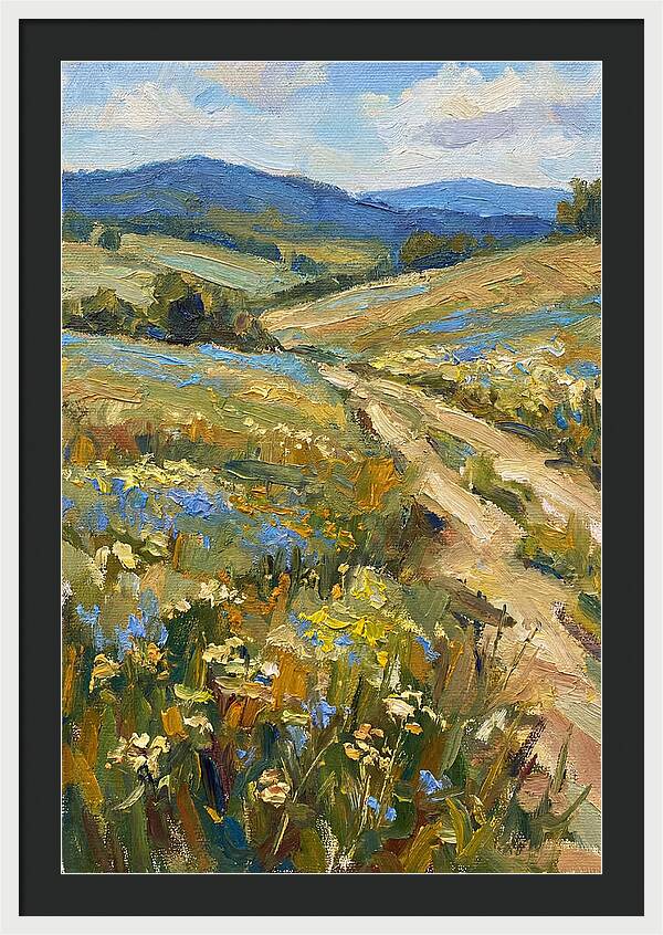 Sunny Meadow Pathway