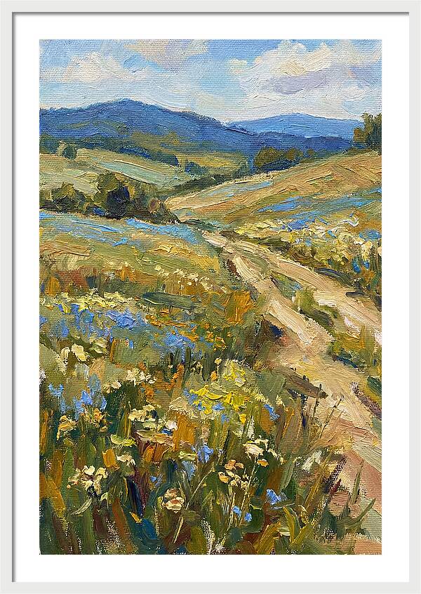 Sunny Meadow Pathway