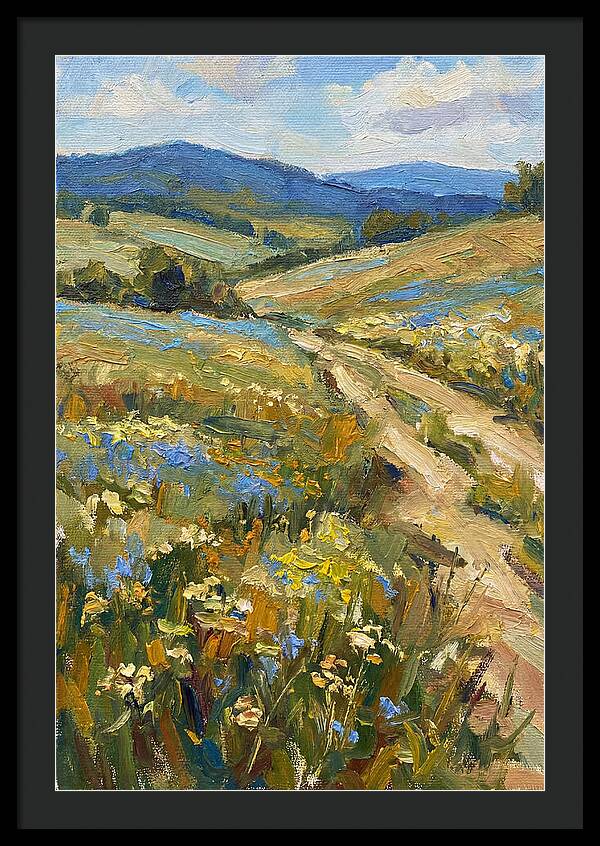 Sunny Meadow Pathway