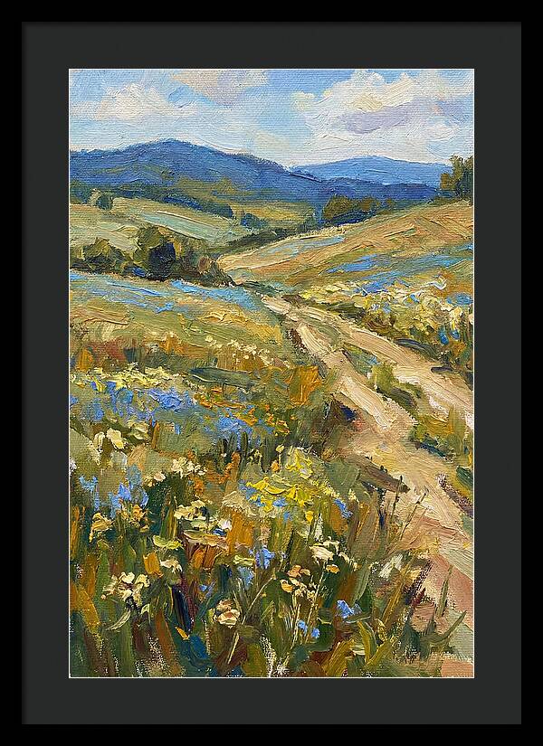 Sunny Meadow Pathway