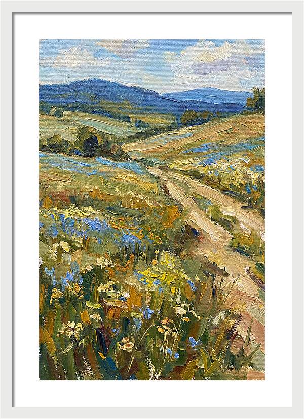 Sunny Meadow Pathway
