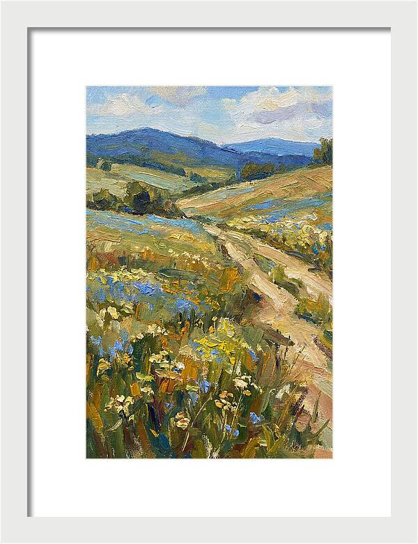 Sunny Meadow Pathway