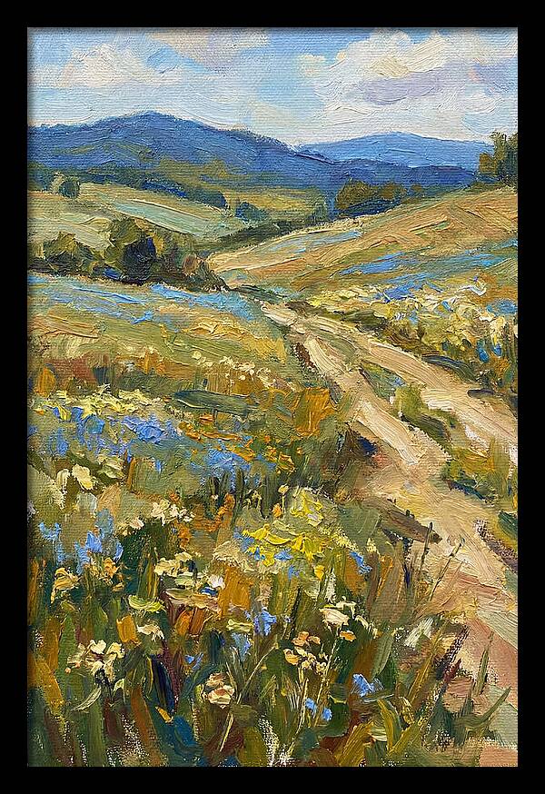 Sunny Meadow Pathway