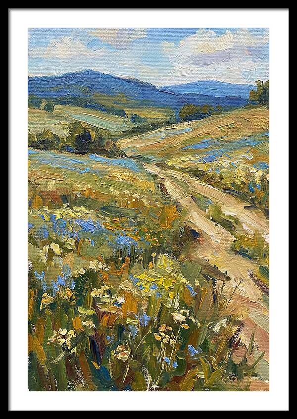 Sunny Meadow Pathway