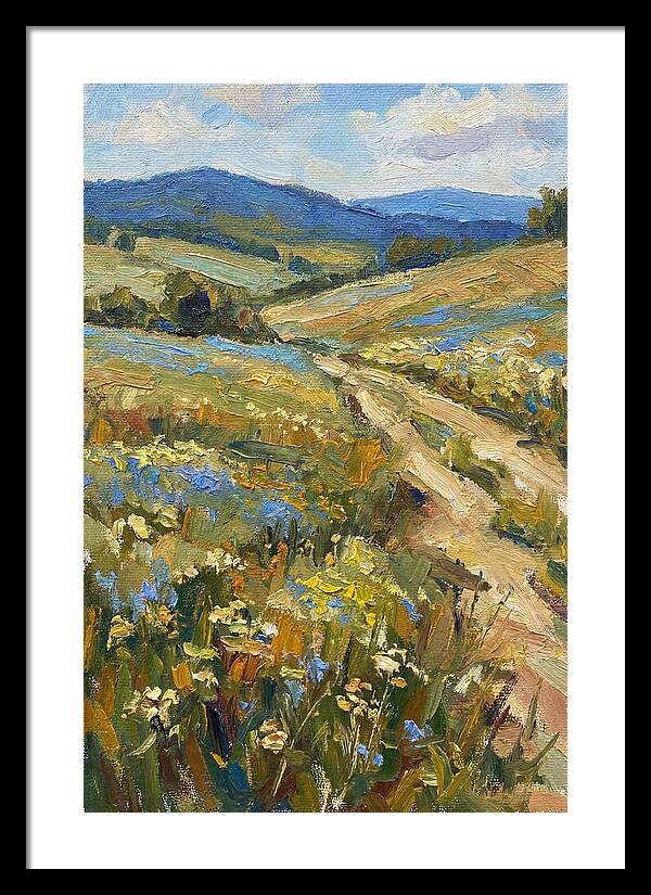 Sunny Meadow Pathway