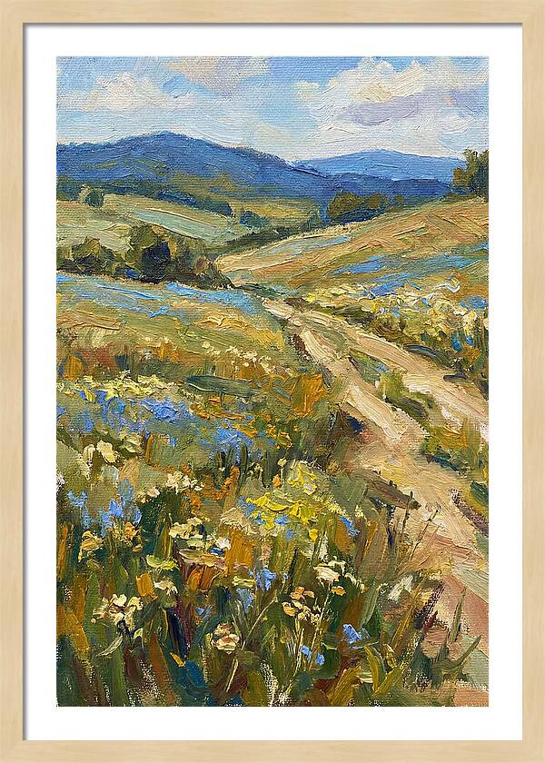Sunny Meadow Pathway