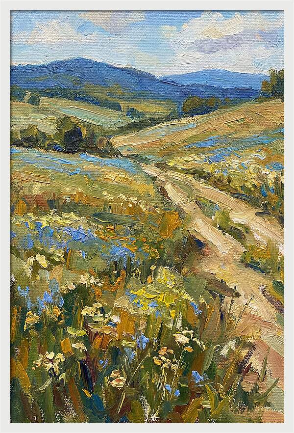 Sunny Meadow Pathway