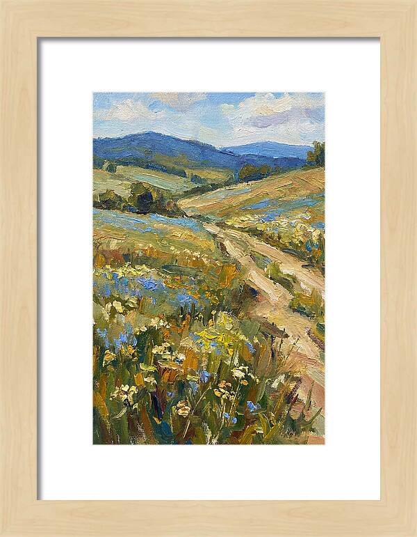 Sunny Meadow Pathway