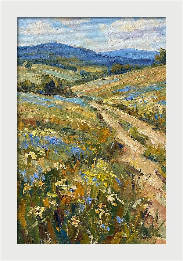 Sunny Meadow Pathway