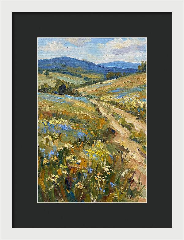 Sunny Meadow Pathway