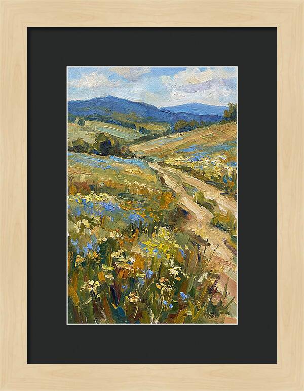 Sunny Meadow Pathway