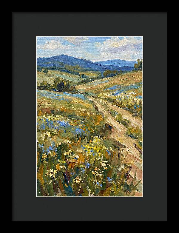 Sunny Meadow Pathway