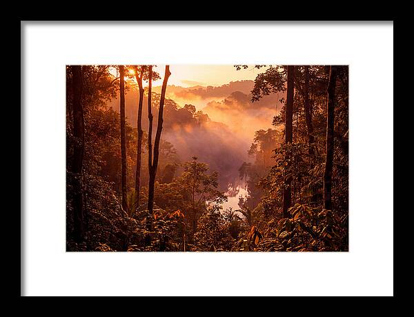 Sunrise Illuminating Fog