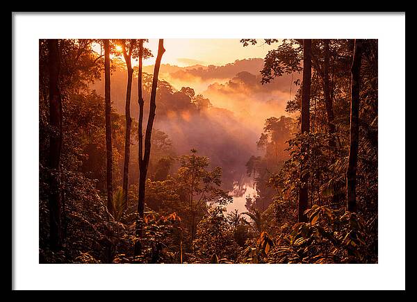 Sunrise Illuminating Fog
