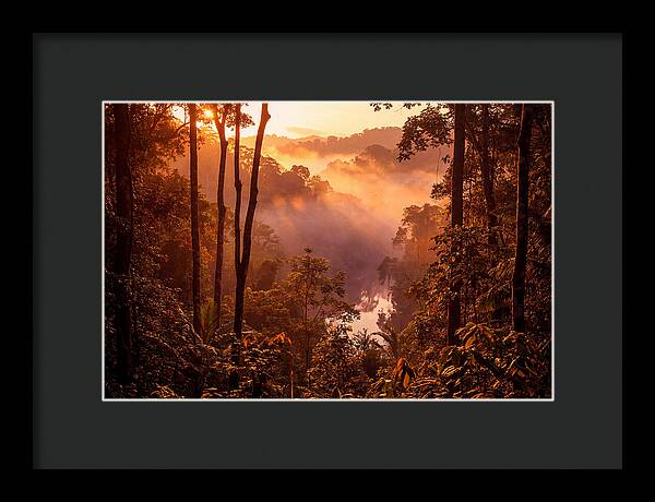 Sunrise Illuminating Fog