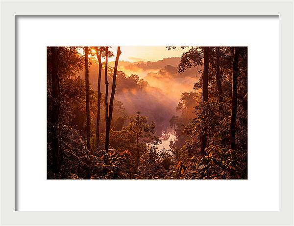 Sunrise Illuminating Fog