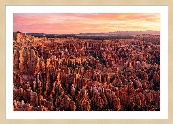 Sunrise Over Bryce Canyon Hoodoos