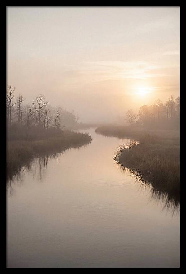 Sunrise Through Morning Mist