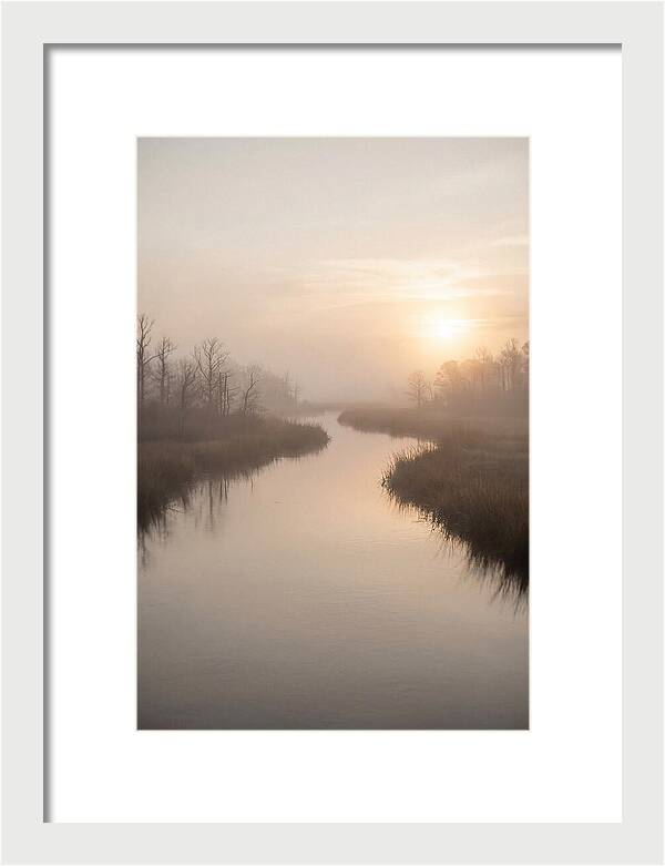 Sunrise Through Morning Mist