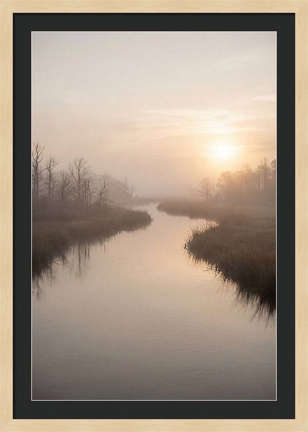 Sunrise Through Morning Mist