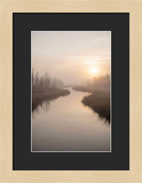 Sunrise Through Morning Mist