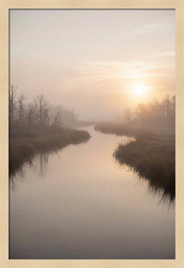 Sunrise Through Morning Mist