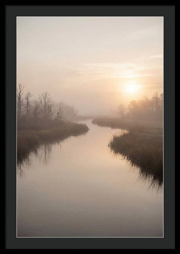 Sunrise Through Morning Mist