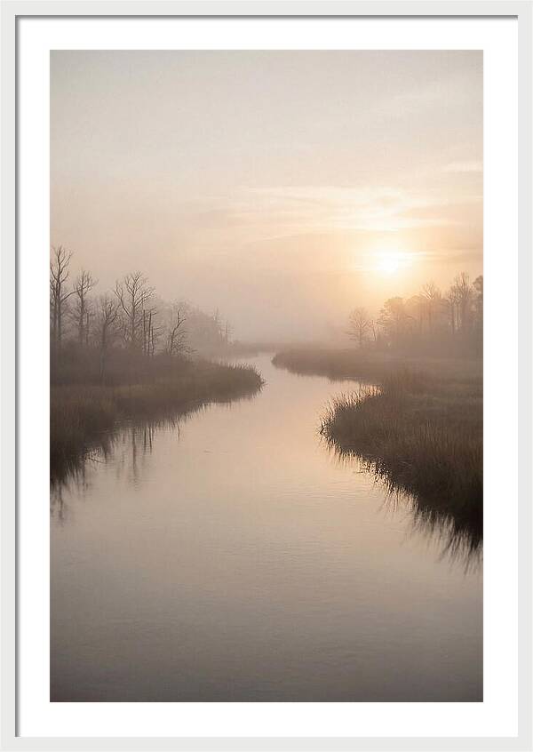 Sunrise Through Morning Mist