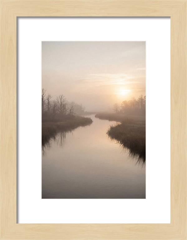 Sunrise Through Morning Mist