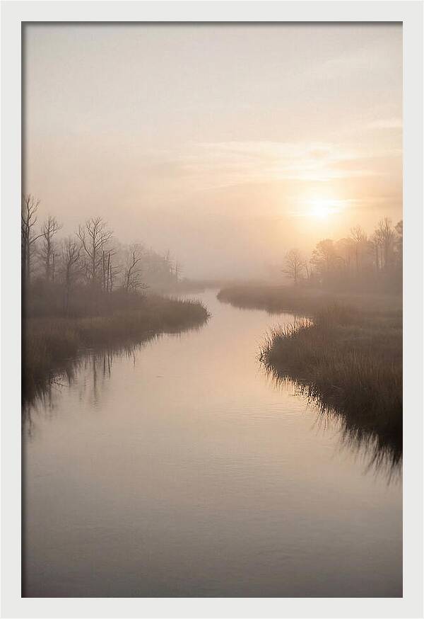 Sunrise Through Morning Mist