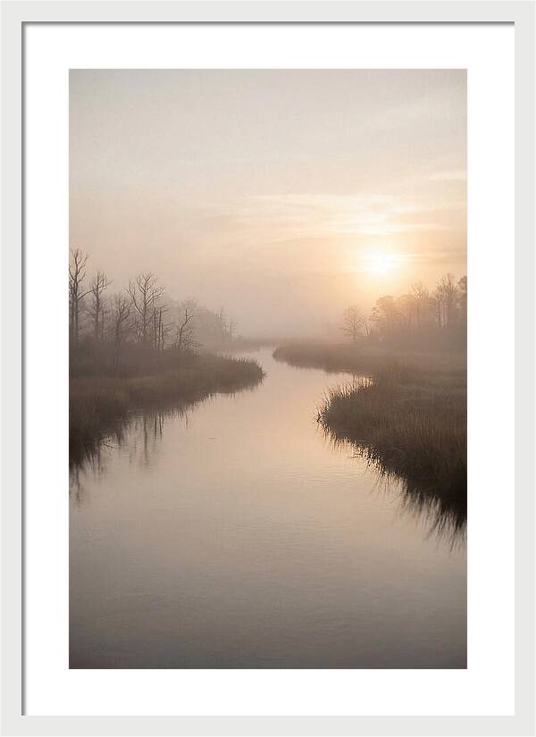 Sunrise Through Morning Mist