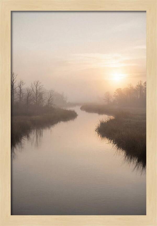 Sunrise Through Morning Mist