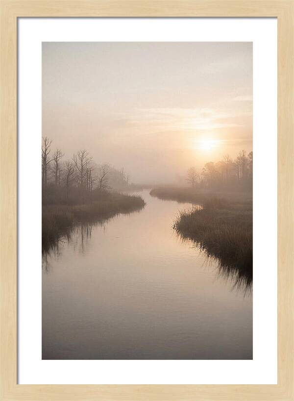 Sunrise Through Morning Mist