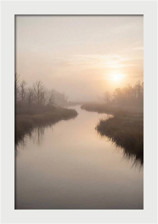 Sunrise Through Morning Mist
