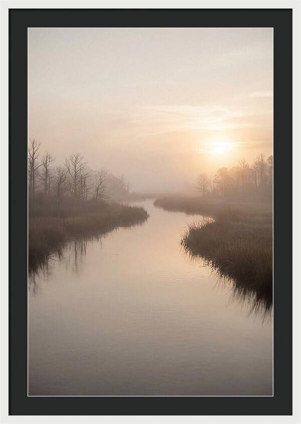 Sunrise Through Morning Mist