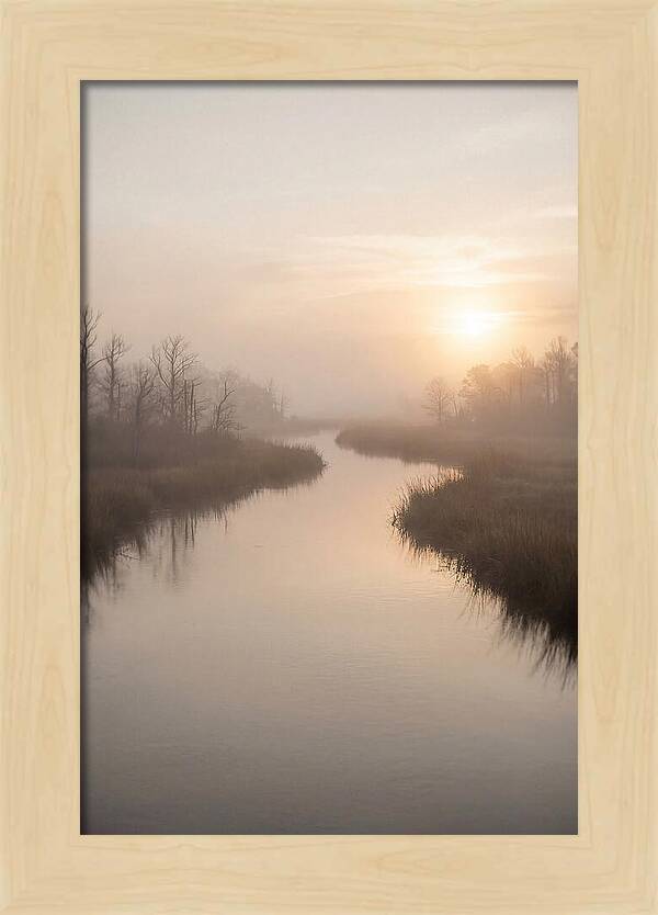Sunrise Through Morning Mist
